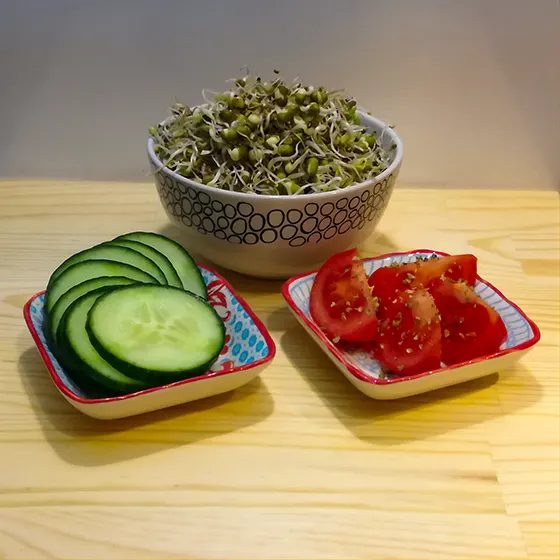 Dreierlei Sprossen-Salat mit Gurke und Paradeiser.